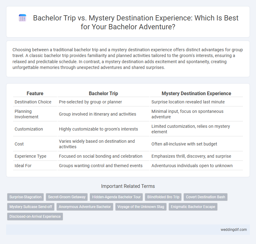 Bachelor Trip vs. Mystery Destination Experience: Which Is Best for Your Bachelor Adventure?