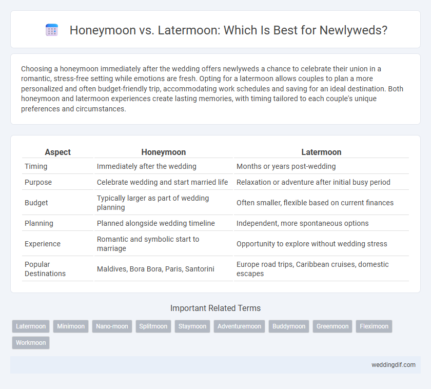 Honeymoon vs. Latermoon: Which Is Best for Newlyweds?