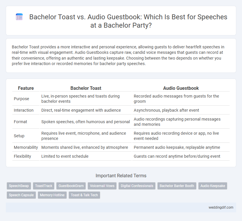 Bachelor Toast vs. Audio Guestbook: Which Is Best for Speeches at a Bachelor Party?