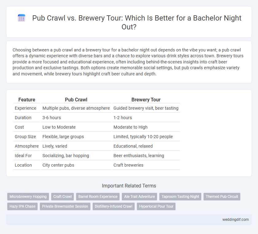 Pub Crawl vs. Brewery Tour: Which Is Better for a Bachelor Night Out?