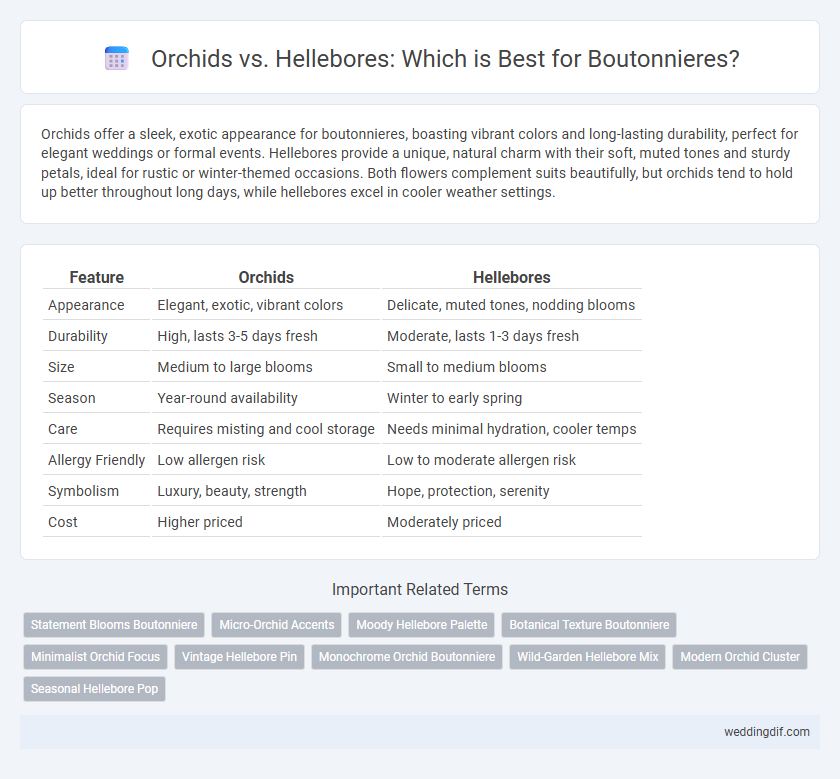 Orchids vs. Hellebores: Which is Best for Boutonnieres?