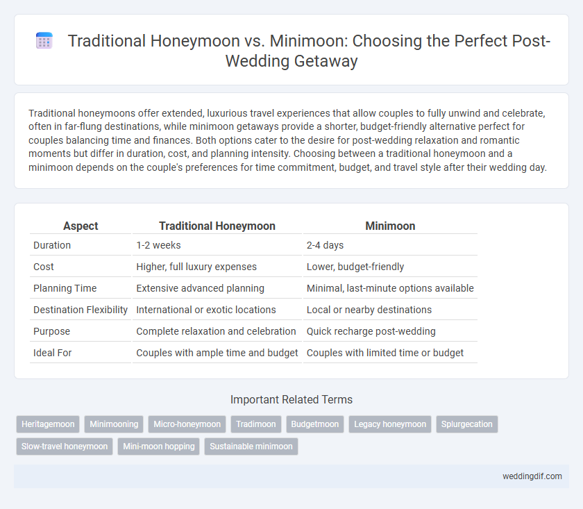 Traditional Honeymoon vs. Minimoon: Choosing the Perfect Post-Wedding Getaway