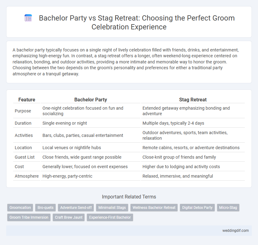 Bachelor Party vs Stag Retreat: Choosing the Perfect Groom Celebration Experience
