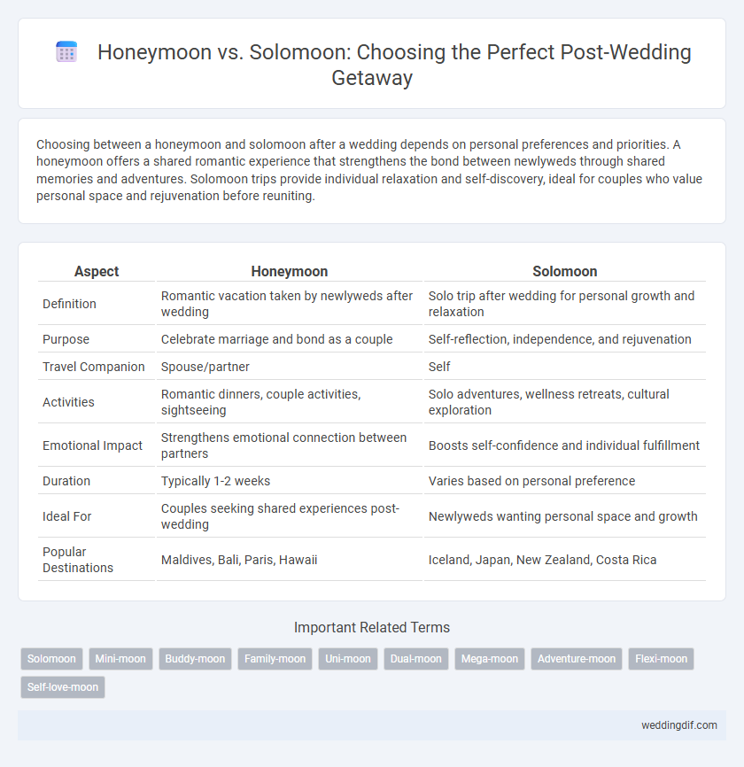 Honeymoon vs. Solomoon: Choosing the Perfect Post-Wedding Getaway
