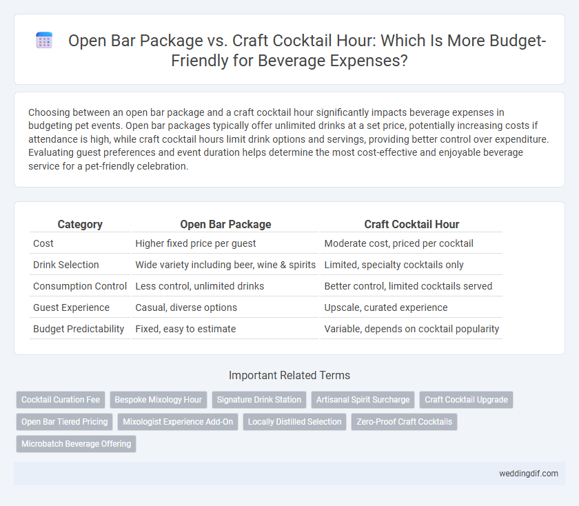Open Bar Package vs. Craft Cocktail Hour: Which Is More Budget-Friendly for Beverage Expenses?
