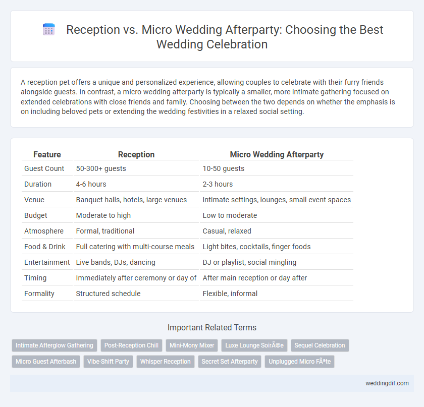 Reception vs. Micro Wedding Afterparty: Choosing the Best Wedding Celebration