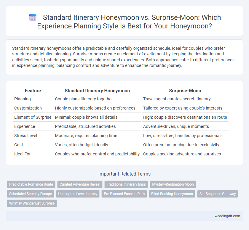Standard Itinerary Honeymoon vs. Surprise-Moon: Which Experience Planning Style Is Best for Your Honeymoon?