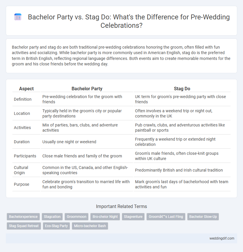 Bachelor Party vs. Stag Do: What's the Difference for Pre-Wedding Celebrations?
