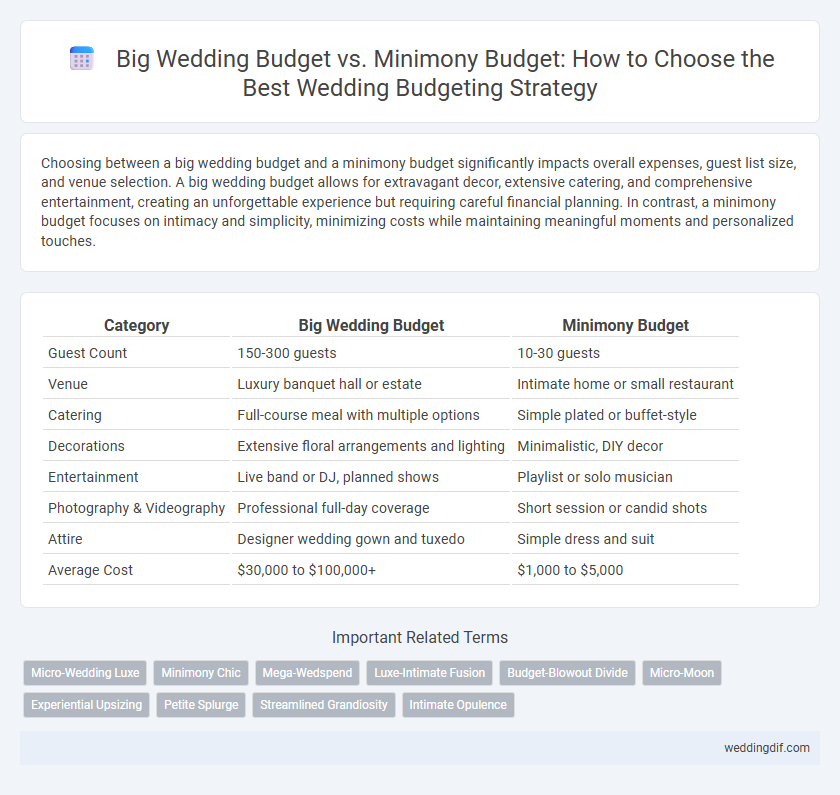 Big Wedding Budget vs. Minimony Budget: How to Choose the Best Wedding Budgeting Strategy
