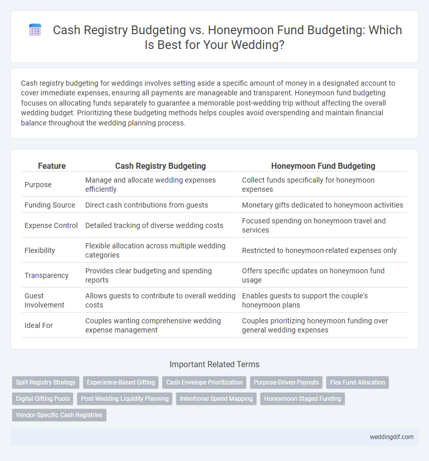 Cash Registry Budgeting vs. Honeymoon Fund Budgeting: Which Is Best for Your Wedding?