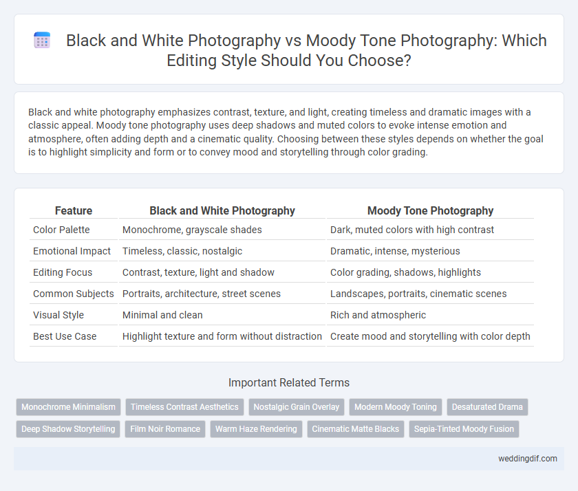Black and White Photography vs Moody Tone Photography: Which Editing Style Should You Choose?