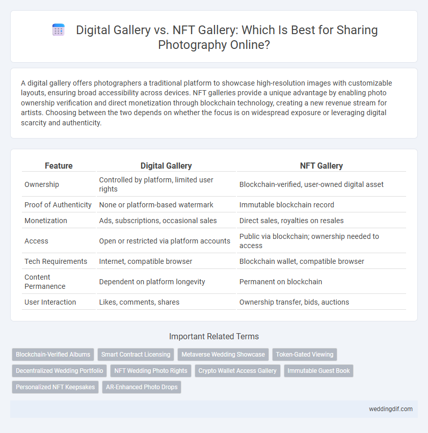 Digital Gallery vs. NFT Gallery: Which Is Best for Sharing Photography Online?