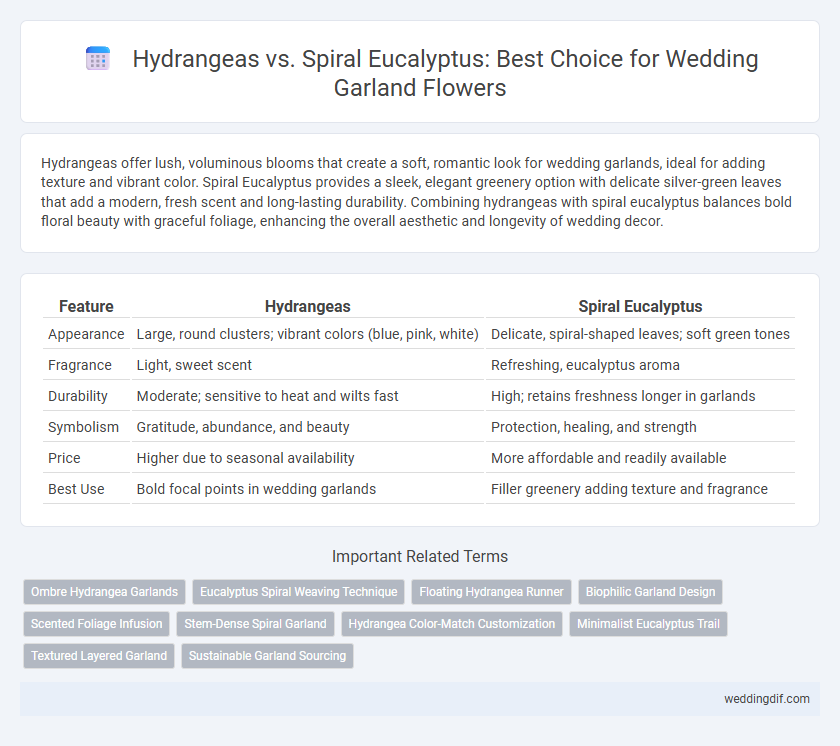 Hydrangeas vs. Spiral Eucalyptus: Best Choice for Wedding Garland Flowers