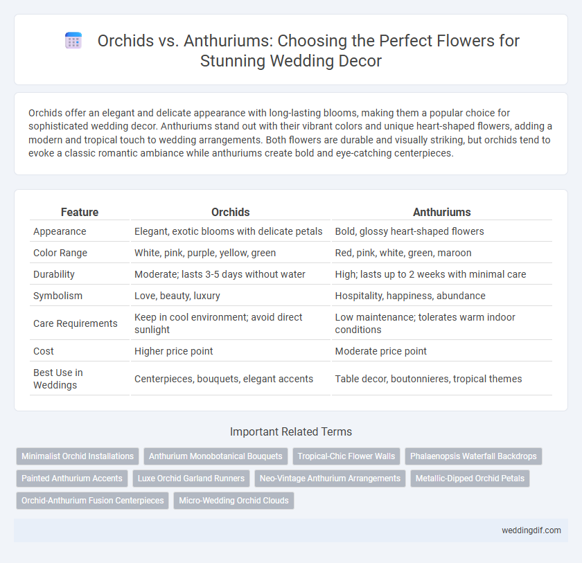 Orchids vs. Anthuriums: Choosing the Perfect Flowers for Stunning Wedding Decor